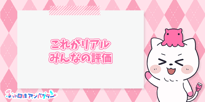 これがリアルビッグローブ光10ギガみんなの評価